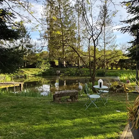 Au Petit Bonheur De Seraphine *