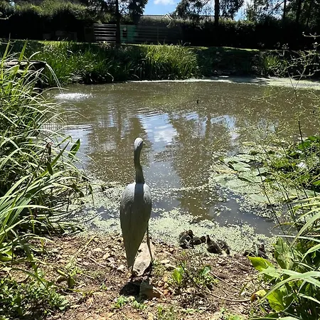 Au Petit Bonheur De Seraphine לינה וארוחת בוקר Saint-Aubin (Nord)