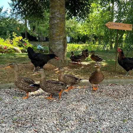 Au Petit Bonheur De Seraphine 3*