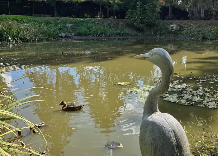 Couette-café Au Petit Bonheur De Séraphine Saint-Aubin (Nord)